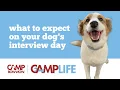 What to Expect on Your Interview Day