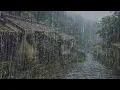 Download Lagu Suara Hujan untuk Tidur - Suara Alam Hujan dan Petir untuk Tidur Nyenyak, Meditasi, Belajar