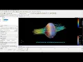 Paraview Tutorial 3 Streamlines