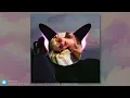 Taylor Swift - Cruel Summer (LP Giobbi Remix (Extended)) (Visualizer)