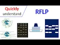 RFLP Restriction Fragment Length Polymorphism