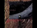 David Sylvian - Silver Moon (LYRICS)