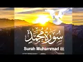 Download Lagu Surah Muhammad Full ||By Sheikh Shuraim With Arabic Text (HD)|سورة محمد|