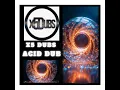 Acid Dub