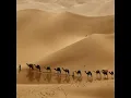 Geçti Dost Kervanı