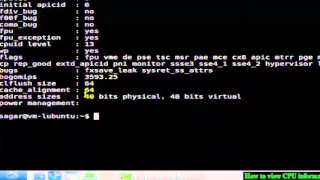 How to view CPU information in Linux Shell terminal