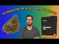 Georgia Pie Strain Review The Perfect Blend of Sweet and Sour