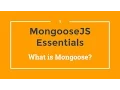 Mongoose JS Tutorial - 1