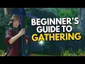 Beginner s Guide to Gathering in FFXIV
