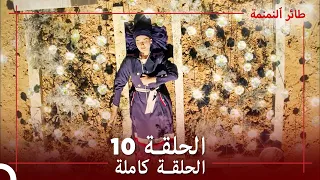 الحلقة 10 طائر النمنمة 