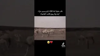 غاب عنها لمده ثلاثه ايام بسبب عزاء ابنه ولما رجع كانت المفاجاه  غاب عنها لمده ثلاثه ايام بسبب عزاء ابنه ولما رجع كانت المفاجاه