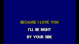 Download Stevie B   Because I Love You Karaoke MP3