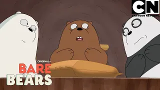 Com esses ursos sempre acontece alguma coisa | Ursos sem Curso | Cartoon Network