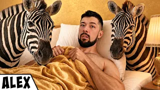 Megszálltam Egy Luxus Állathotelben!