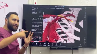 المراجعة الدورية الثالثة Upper Limb 199 