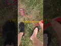 Download Lagu About grounding and why I don’t wear shoes anymore. We are electrical beings. #barefoot #earthing