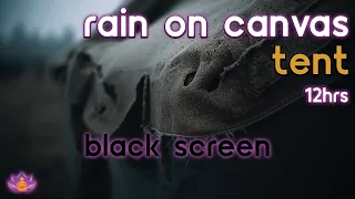 Black Screen Sleeping in Canvas Tent Rain on Canvas Tent - No Thunder Rain Sounds for Sleep