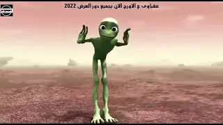 حاله واتس هنط حبال وانفرقع بوم من مولد عقباوي ع الاورج دالاس وسندس والبوب دندنها