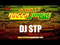 Download Lagu DJ STP - LIVE STRICTLY RAGGA JUNGLE DIGITAL VINYL MIX