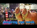 Download Lagu SARONIN SARKAK RANGSANG pengiring sapi sonok