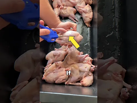 Why Your Meat Shrinks When You Cook It