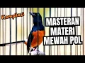 Download Lagu MURAI BATU GACOR FULL ISIAN TEMBAKAN MATERI MEWAH SEMUA MASTERAN MURAI BATU JUARA