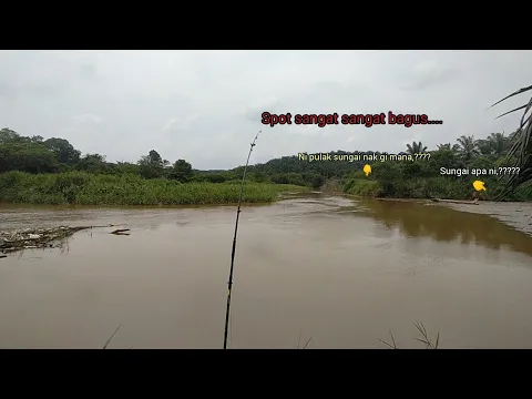 Download MP3 MANCING IKAN:HUH SUNGGUH LUAR BIASA SPOT MANCING NI.SUNGGUH CANTIK SPOT INI.MUNGKIN ADA YANG BESAR2.