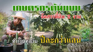 ที่ดิน 2 งานทำรายได้หลักหมื่นต่อเดือน #เกษตรอารมณ์ดี