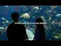 Te miro para ver si me ves mirarte - Surfistas del sistema // Letra
