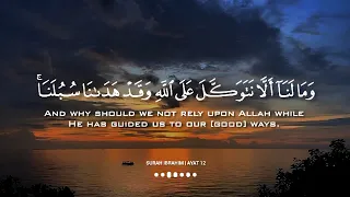 نصف ساعة تلاوة هادئة ومؤثرة بصوت القارئ إسلام صبحي Islam Sobhi Calming Recitation 