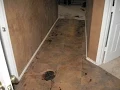 Jodi Arias Blood Spatter expert