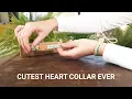 Pettsie Breakaway Cat Collar with Heart and Matching Friendship Bracelet