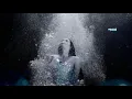 Download Lagu SERGEY GRISCHUK- ISLAND OF MY SOUL