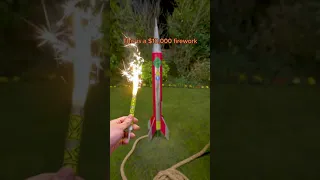 Sam Ryder Launched To Space With 10 000 Firework 