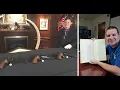 Colt Pythons serial numbers 2 3 and 5 - Curator s Corner