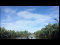 Download Lagu Video Pendek SUNGAI HITAM LESTARI (Wisata Bekantan) di Kampung Lama Samboja Kalimantan Timur MP3