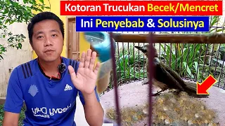 penyebab dan cara mengatasi trucukan mencret agar cepat sembuh