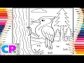Woodpecker in the of Colors