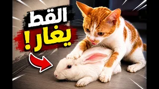 جبت لريكو أرنب 🐰 | وندمت 😂