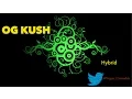 OG Kush Strain Information Review