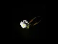 Yehra - Rumours