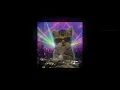 Download Lagu •°⭐ SPEED UP EDIT AUDIOS FOR YOU TO VIBE AT 3AM!!! ⭐°• [+TIMESTAMPS]