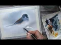 Download Lagu Watercolor bird painting tutorial for beginners using wet-on-wet technique 