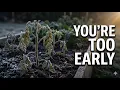 Your Last Frost Date Is Wrong Here s the Number You Should Actually Be Using
