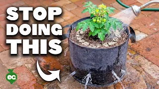 These Grow Bag Mistakes Will Cost You Your Harvest