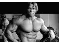 Arnold Schwarzenegger Bodybuilding Training Photos Cloud9