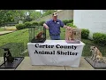 Carter County Animal Shelter adoption drive