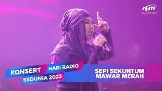 Download Ella | Sepi Sekuntum Mawar Merah | Konsert Hari Radio Sedunia 2023 MP3