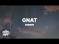 Download Lagu Eminem - Gnat (Lyrics)