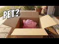 Lagu I Adopted A Pet Ditto In Real Life | Pokémon